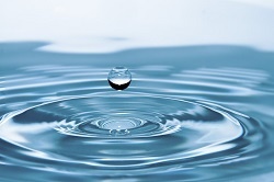 Wassertropfen (pixabay_drops-of-water-578897)_250x166